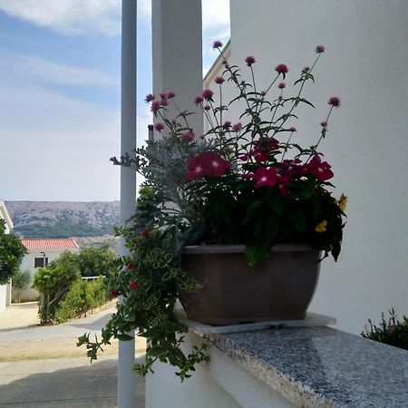Apartment Edina Pag Pag Town Εξωτερικό φωτογραφία