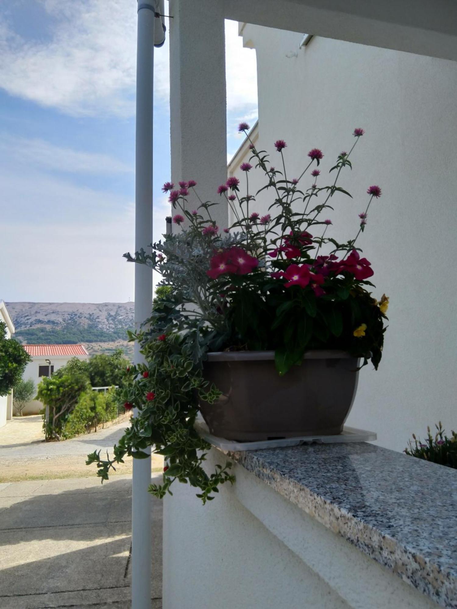 Apartment Edina Pag Pag Town Εξωτερικό φωτογραφία