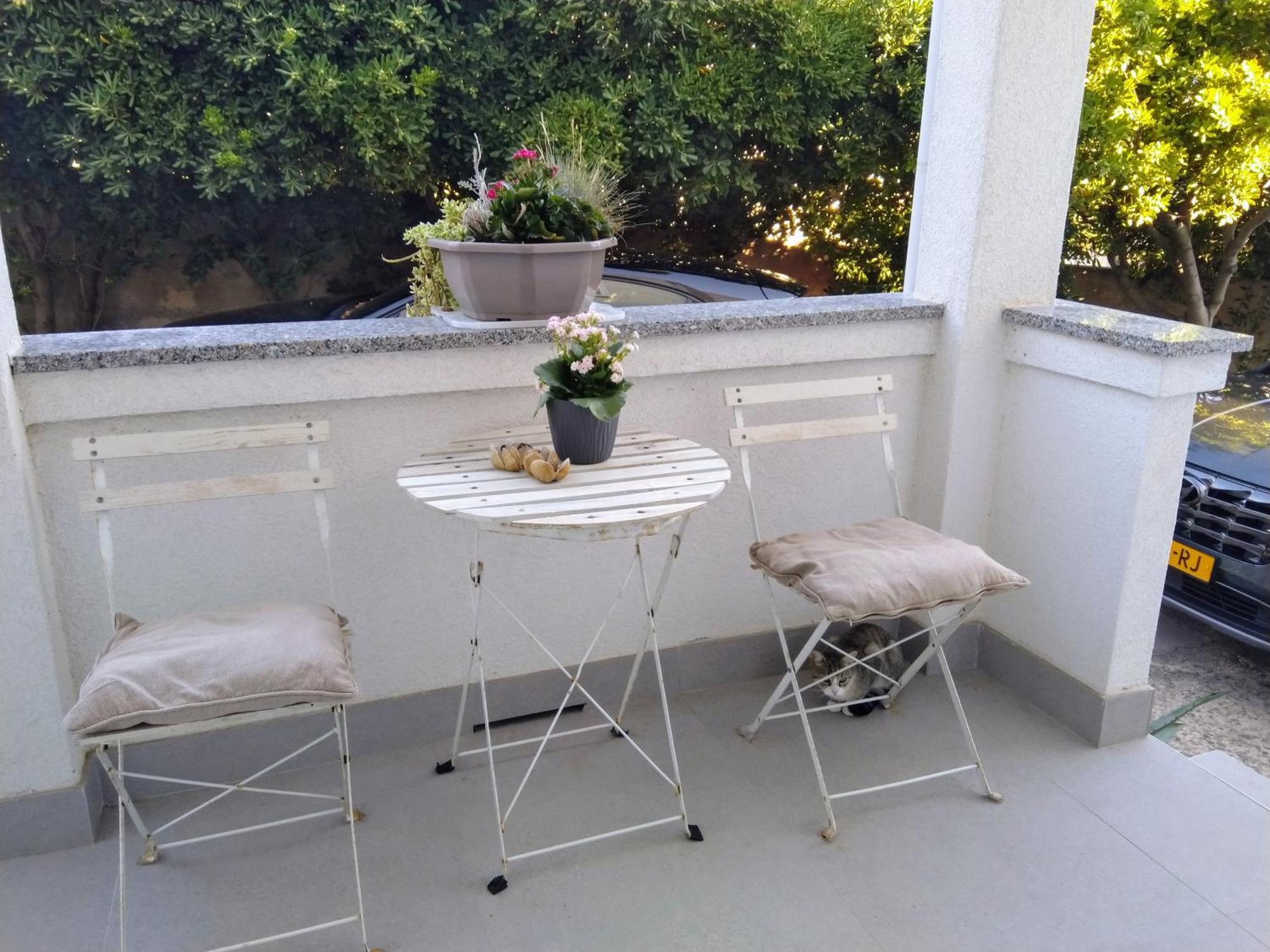 Apartment Edina Pag Pag Town Εξωτερικό φωτογραφία